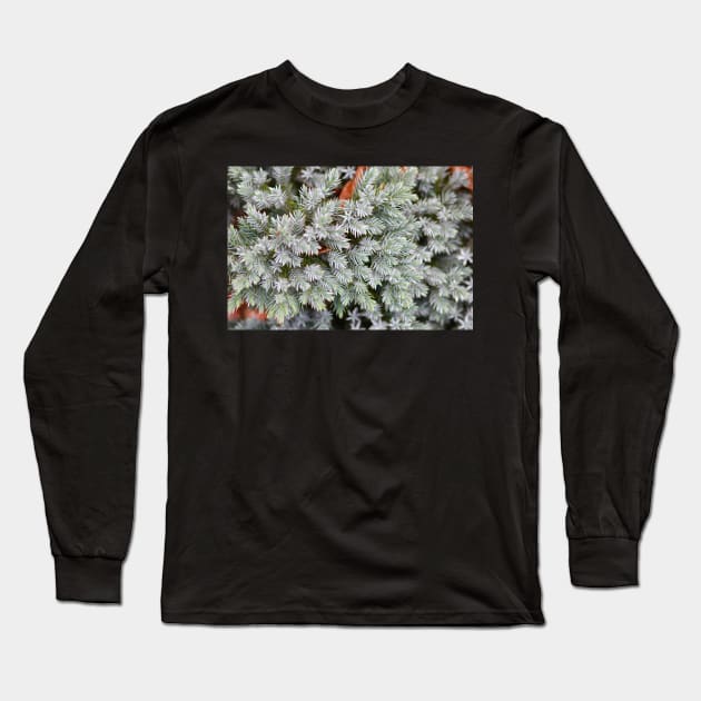 Winter fir Long Sleeve T-Shirt by HappyPawtraits